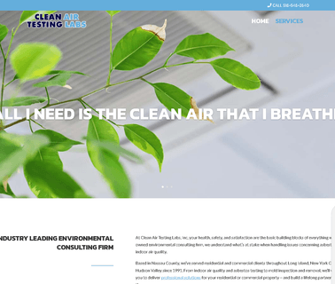 Clean Air Testing Labs Mold Testing Baldwin Ny asbestos inspection