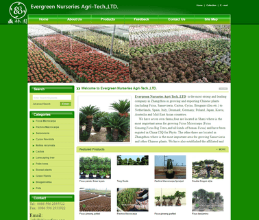 Evergreen Nurseries Agri-Tech Fujian cactus prickly