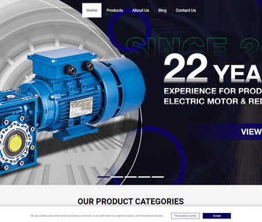 Taizhou Dongye Electric Motor motors single