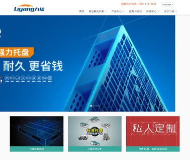 Shandong Liyang Plastic Molding basket molding