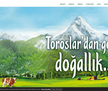 Yorukoglu Sut Ve Urunleri San. Tic. A.S. yoghurt ice cream