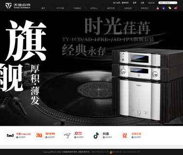 Tonewinner Electronics sound audio car