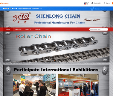 Zhejiang Shenlong Chain Transmission hollow pin conveyor chains