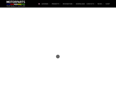 Motorparts S.P.A brake ball