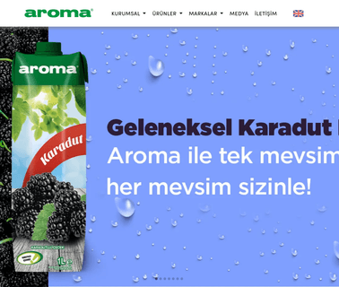 Aroma Bursa Fruit Juices and Food Ind.Inc: Profile blueberry puree