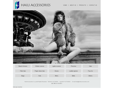 Haili Accessories hat accessory
