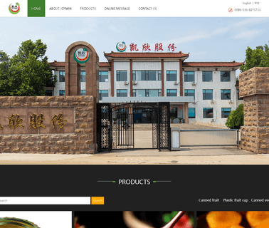 Shandong Joywin Foods canned peach