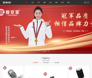 Shenzhen Zhianbao Electronics 100m