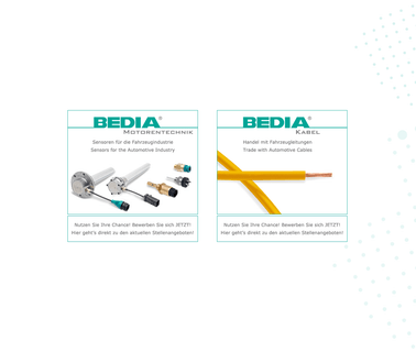 Bedia Motorentechnik Gmbh & Co Kg kabel stecker