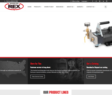 Wheeler-Rex rex raccoon