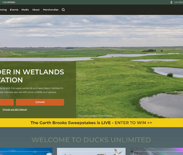 Ducks Unlimited waterfowl decoys