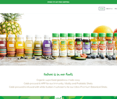 Ginger Shots ginger beverages