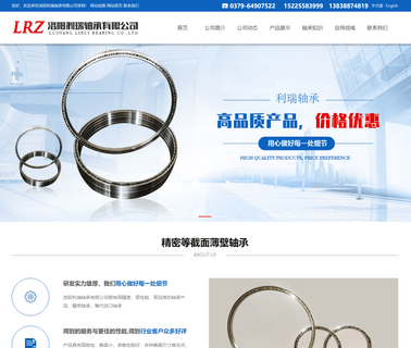 Luoyang Lirui Bearing angular