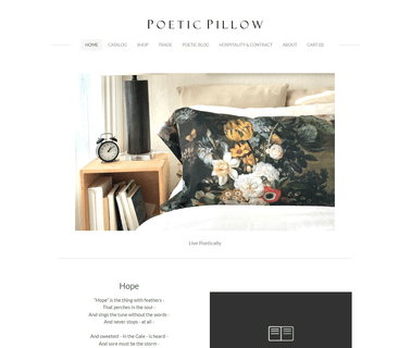 Home - Poetic Pillow customized cushions