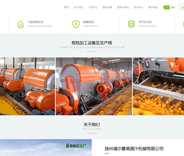 Yangzhou Flourish Fruit and Vegetable Juice Machines conveyor juice