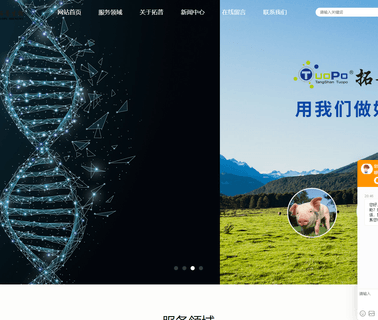 Tangshan Top Bio-Technology grade human