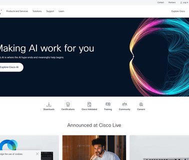 Cisco audience targeting