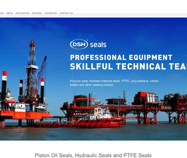 Dongguan Dsh Seals Technology wear rod