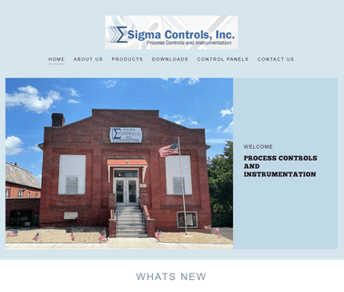 Sigma Controls Home level probe