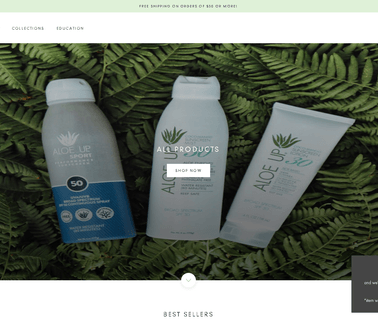 Aloe Up Sun and Skin Care Products sunscreen gel