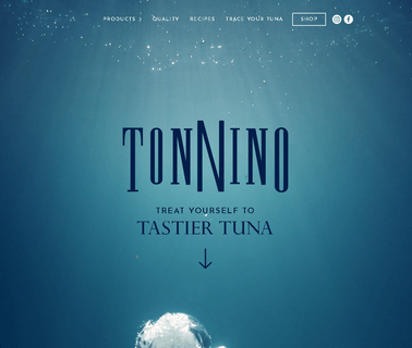 Home - Tonnino fillets