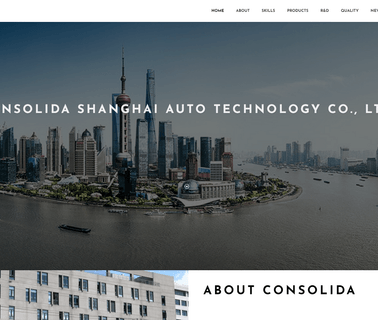 Consolida Shanghai Auto Technology auto plug cable