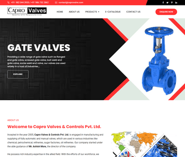Capro Valves & Controls manifold cylinder