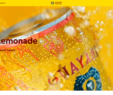 Guayaki Sustainable Rainforest Products bag fair