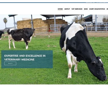 Lander Veterinary Clinic | Turlock, Ca | Home dairy beef