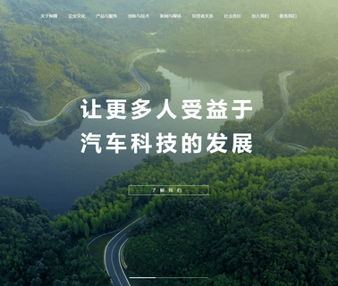 Shanghai Baolong Automotive Corporation tires safety