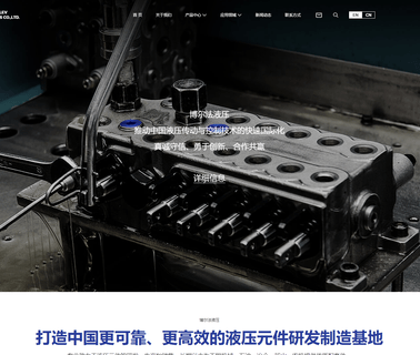 Ningbo Bolev Hydraulic bsp