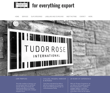Tudor Rose International equity