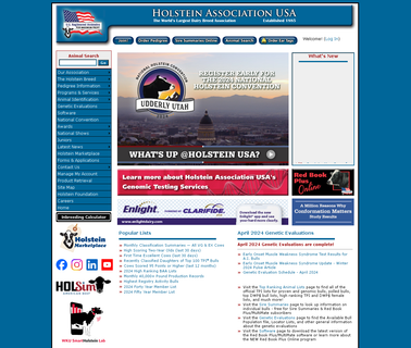 Holstein Association Usa dairy cattle