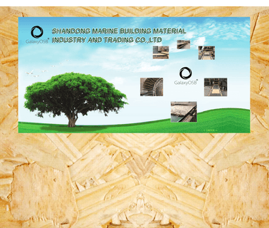Jinchao Timber and Furniture osb