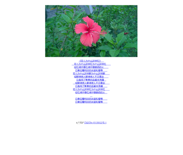 Moreways China Products, crafts wood