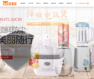 Torme Electrical Appliances electrical steamer