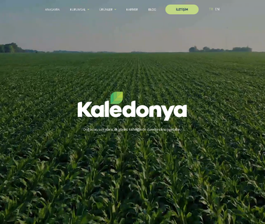 Kaledonya Ltd.: Profile frozen tomatoes