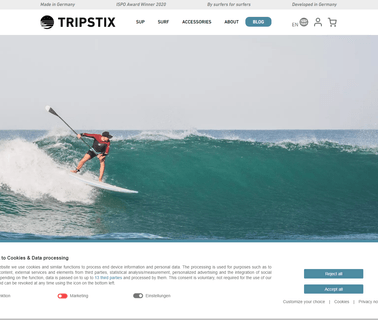 Tripstix pong paddles