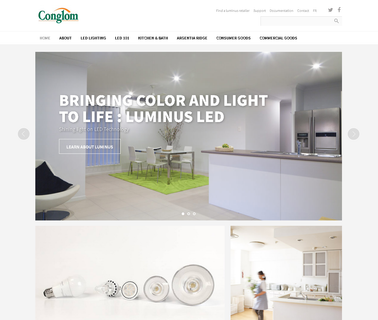Conglom In bath fixtures faucets