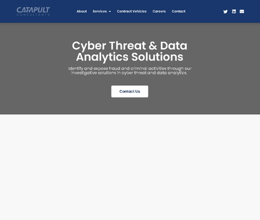 Catapult Consultants  security small business