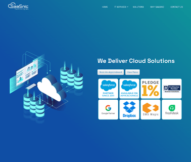 Salesforce and Crm Consultancy - Saasnic Technologies Usa Uk health consultancy services