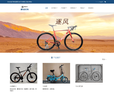 Tianjin Jikong Darkhorse Bicycle mountain style