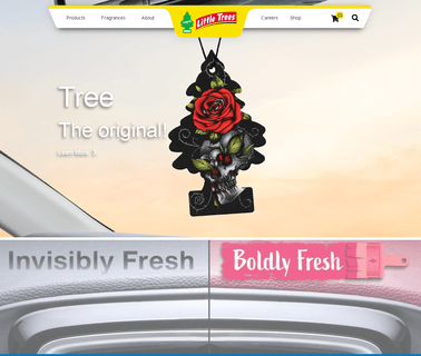 Car-Freshner Corporation fresheners car