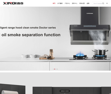 Foshan Shunde Baixin Energy-Saving Gas gas oven heater