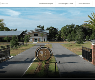 Chi Institute Of Chinese Medicine equine grooming