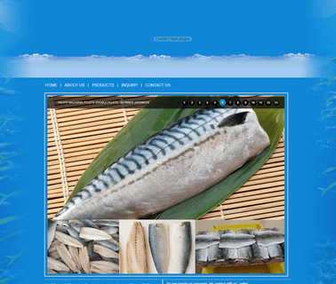 Taizhou Huatong Aquatic Products fillets