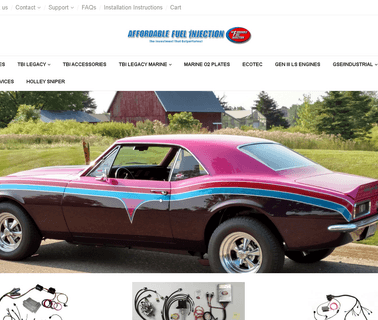 Affordable Fuel Injection carburetor