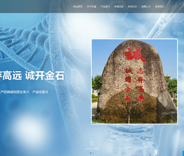Guangxi Qinzhou Capital Success Chemical ammonium sulphate technical grade