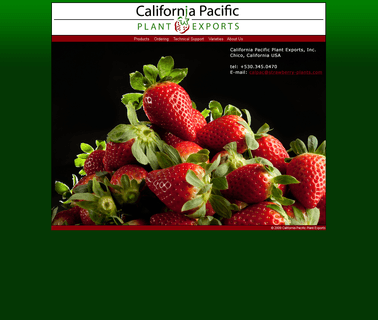 Exporters Of Strawberry P breeding