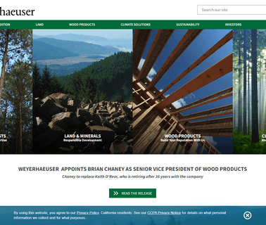 Weyerhaeuser Hardwoods & Industrial Products birch building plywood